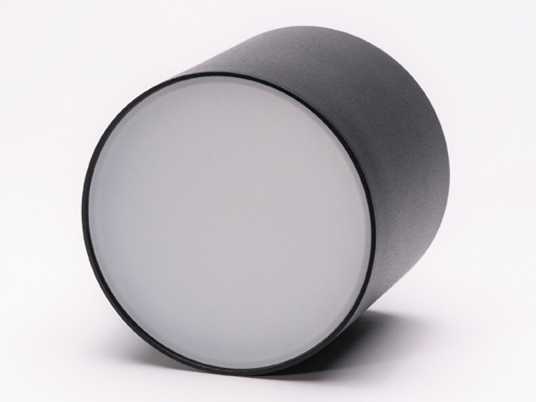 Stropní svítidlo 24V Dual White D85 15W