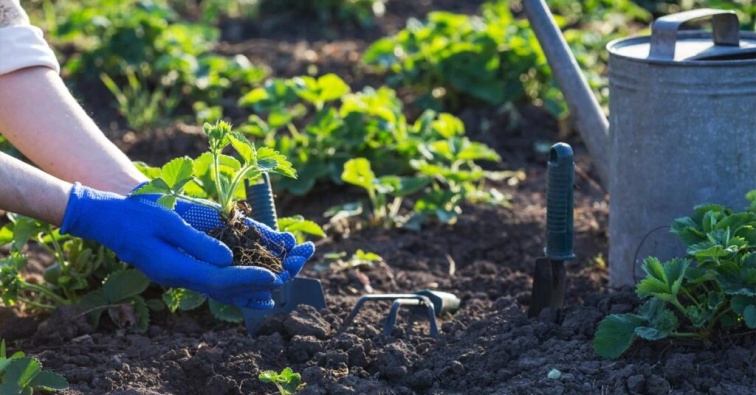Malinový sirup 500ml