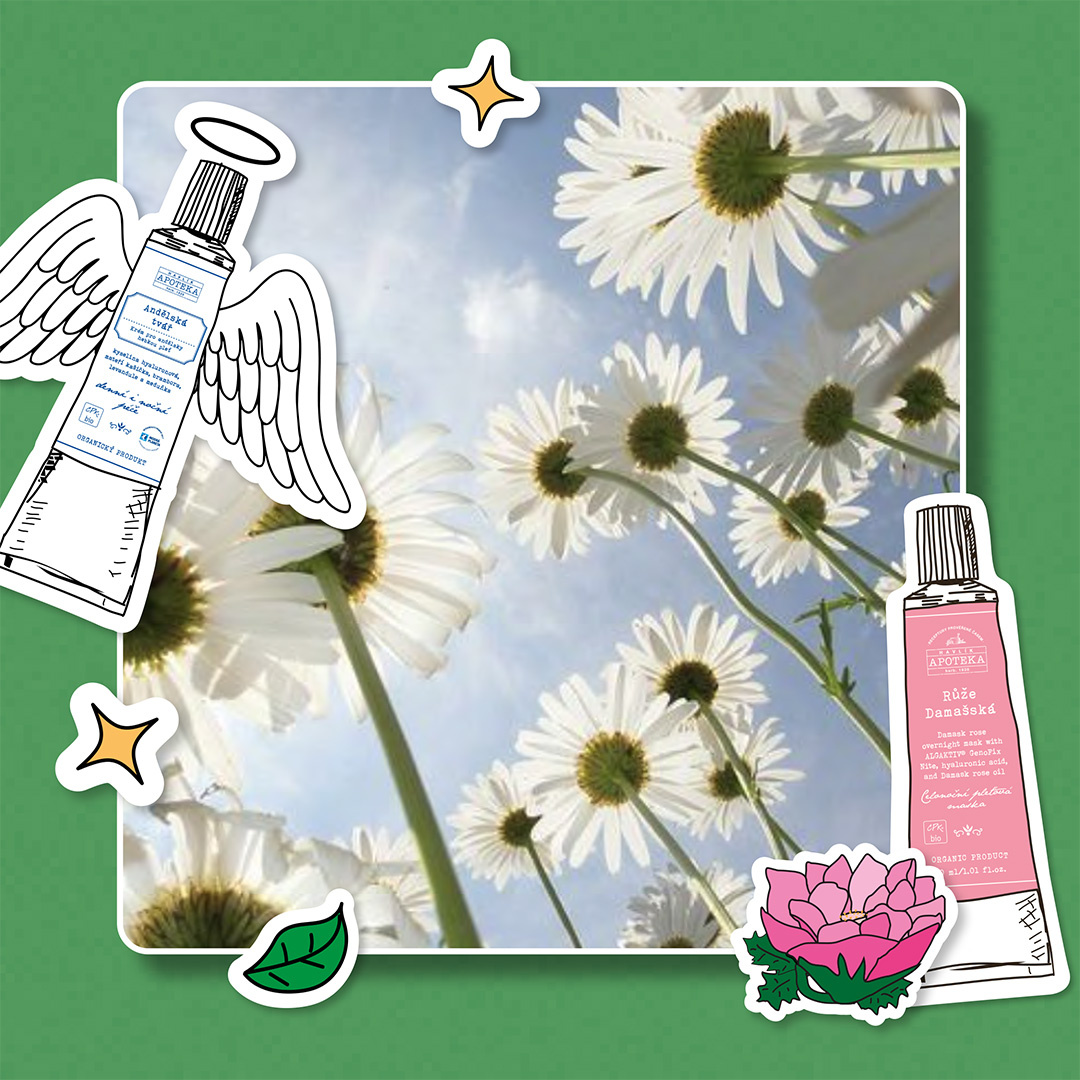 BIO vs. přírodní kosmetika: v čem je skutečně rozdíl?