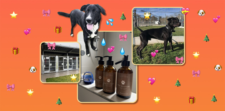 Vianočný darček pre tých, ktorí čakajú na svoj domov