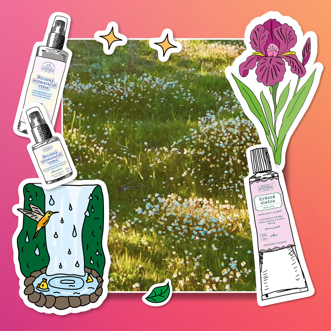 BIO vs. přírodní kosmetika: v čem je skutečně rozdíl?