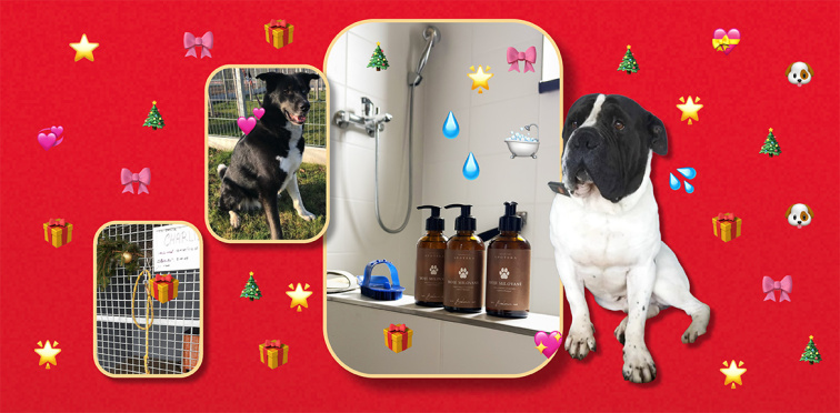 Vianočný darček pre tých, ktorí čakajú na svoj domov