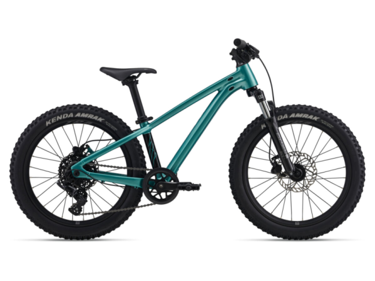 Giant STP 20 FS-Giant One Size Teal 2026