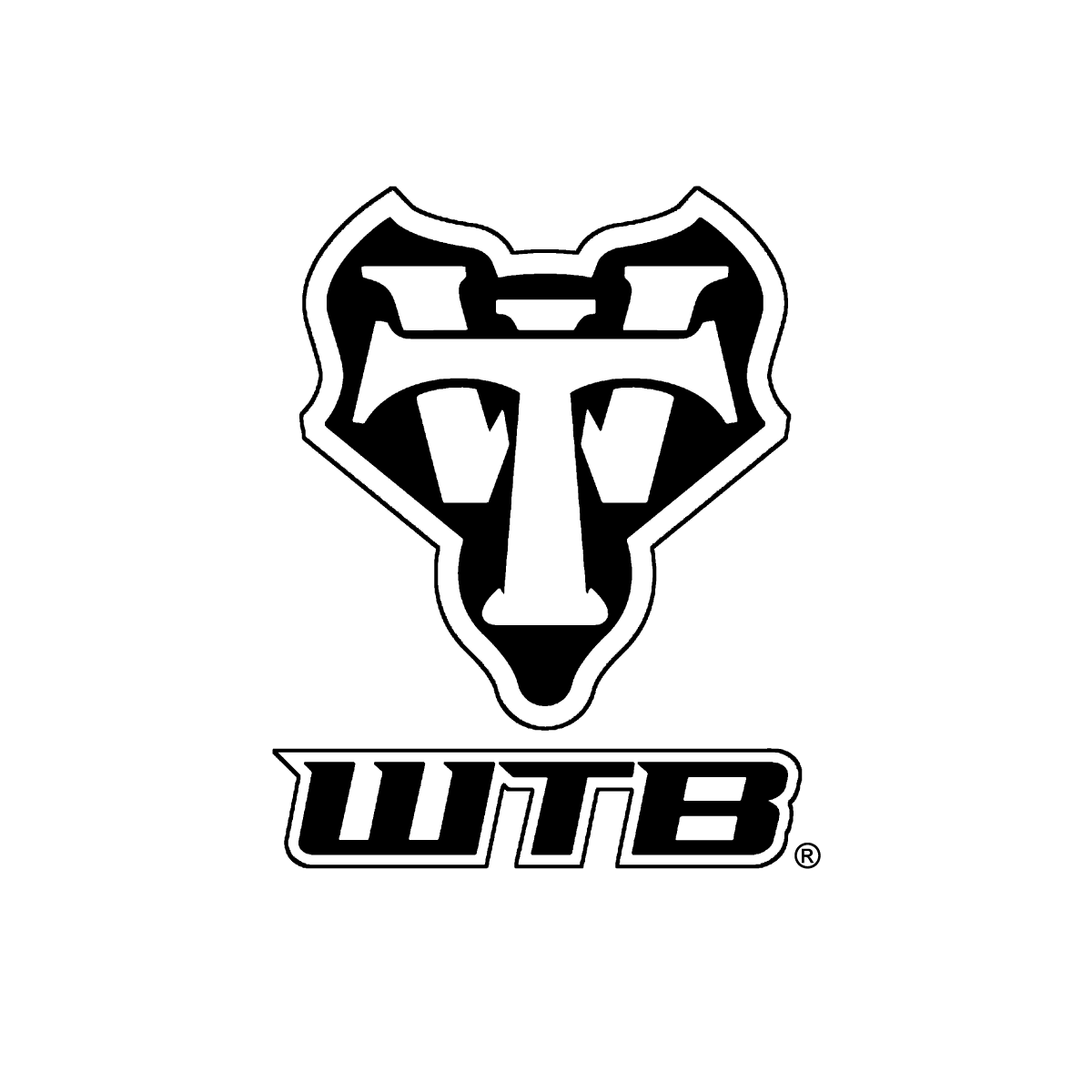 WTB plášť Verdict (bezduš) 27.5x2.5 Tough/High Grip 60tpi TriTec SG1 E50 (černá)