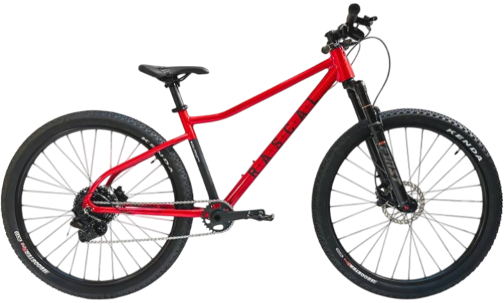 Lehká dětská kola RASCAL 26" | 27" | 29" pro děti od 9 let a výšky 140 cm