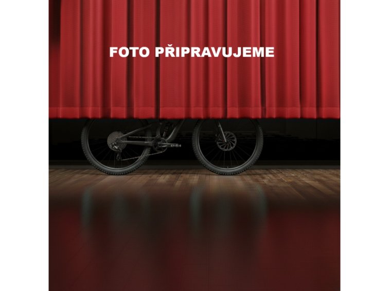 Corratec E-Power X-Vert Race Sport (Světle šedá) 2026