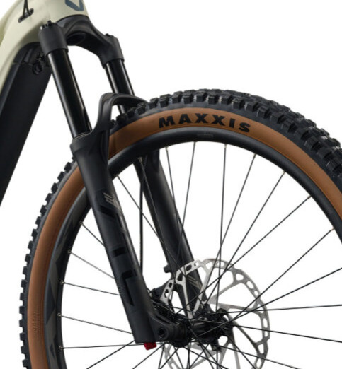 Liv Embolden E+ 1 (Pale Moss) 2027