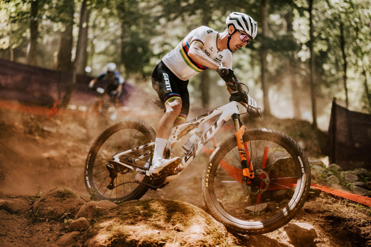 Anthem Advanced SL 2026