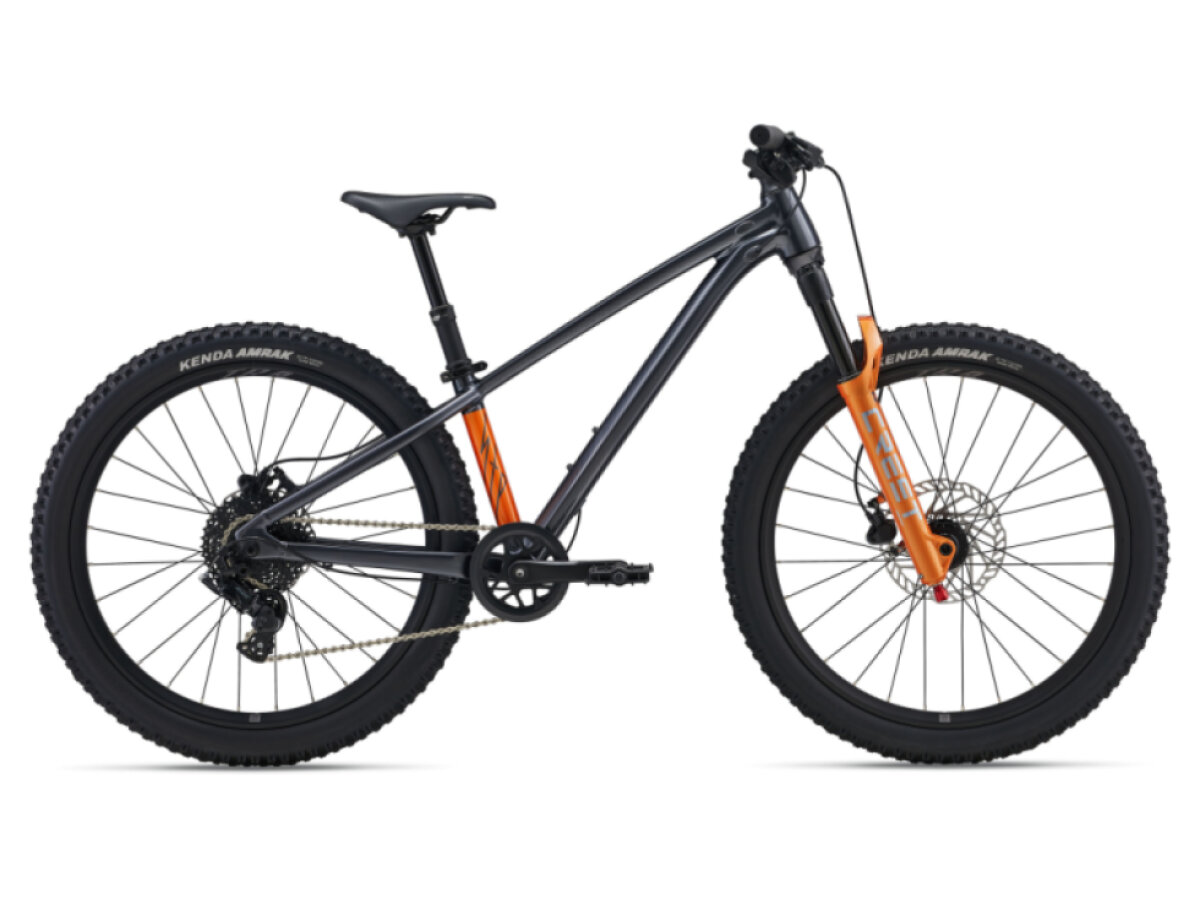 Giant STP 24-Giant One Size Black Chrome 2026