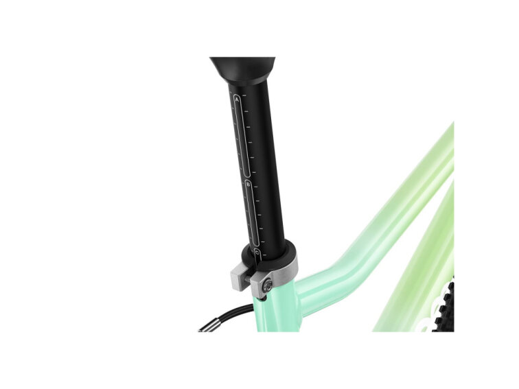 Woom 2 (14") GO LIMITED (Spearmint crush)