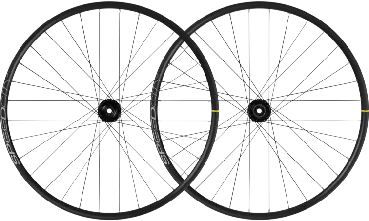 Parametrické kategorie