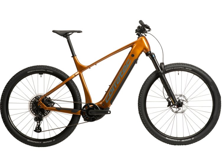 Corratec E-Power X-Vert Elite Gent (Tmavě zlatá) 2026