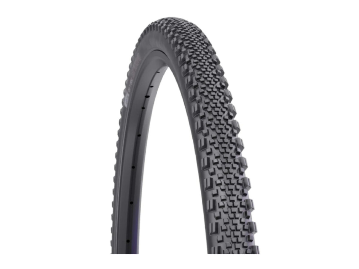 WTB plášť Raddler (bezduš) 700x44 Light/Fast Rolling 120tpi Dual DNA SG2 (černá)