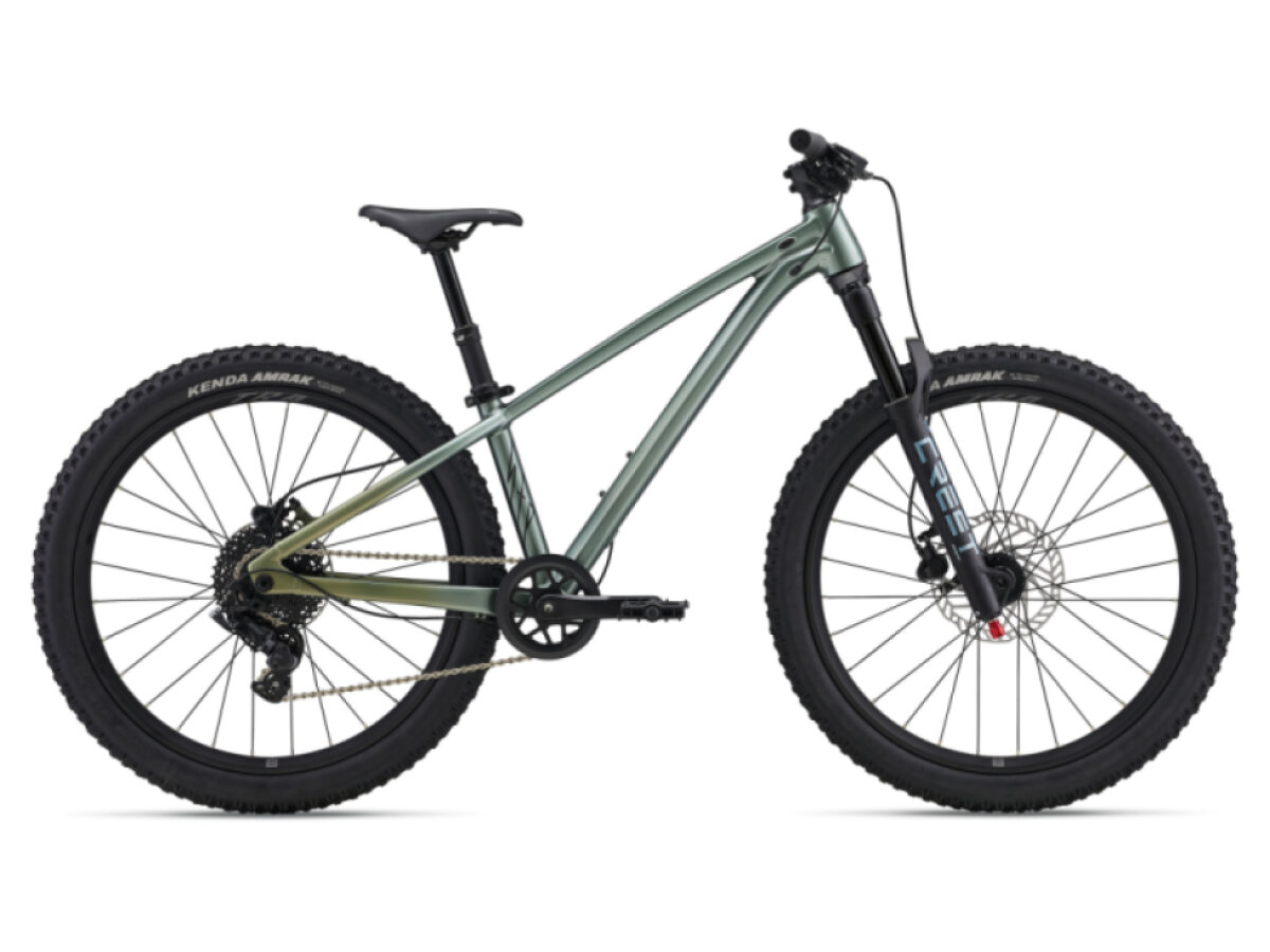 Liv STP 24-LIV One Size Alpine Green 2026