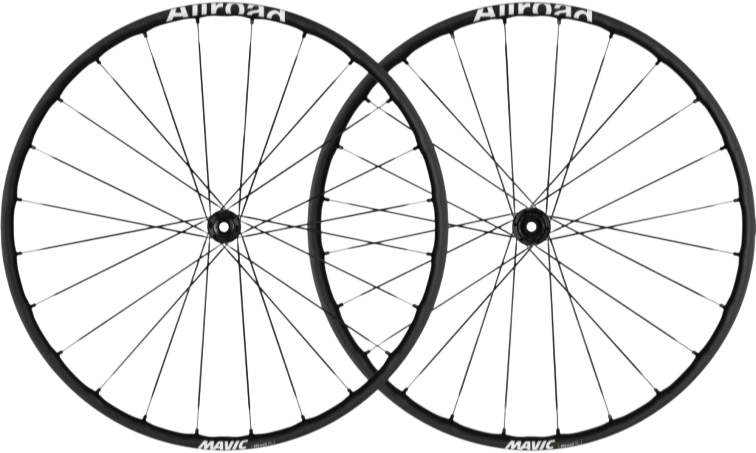 Parametrické kategorie