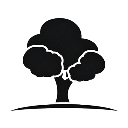 Přehled našich zavazadel