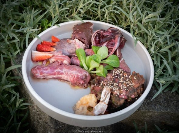 Kura komplet s tekvicou a sušenou púpavou (KMFB)