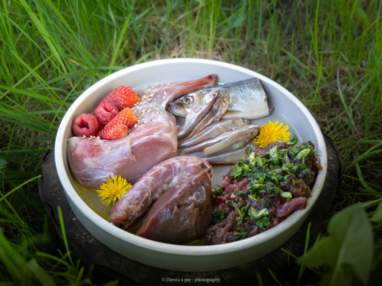 🦴 BARFuj s Mlsnými labkami 🐾 Čo je to BARF – prirodzené kŕmenie psov (ľudskou rečou)