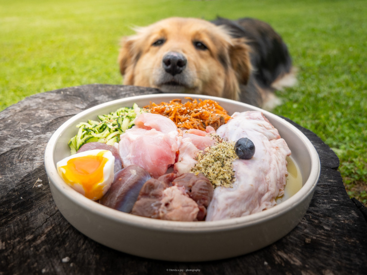 🦴 BARFuj s Mlsnými labkami 🐾 Čo je to BARF – prirodzené kŕmenie psov (ľudskou rečou)