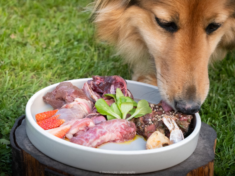 🦴 BARFuj s Mlsnými labkami 🐾 Čo je to BARF – prirodzené kŕmenie psov (ľudskou rečou)