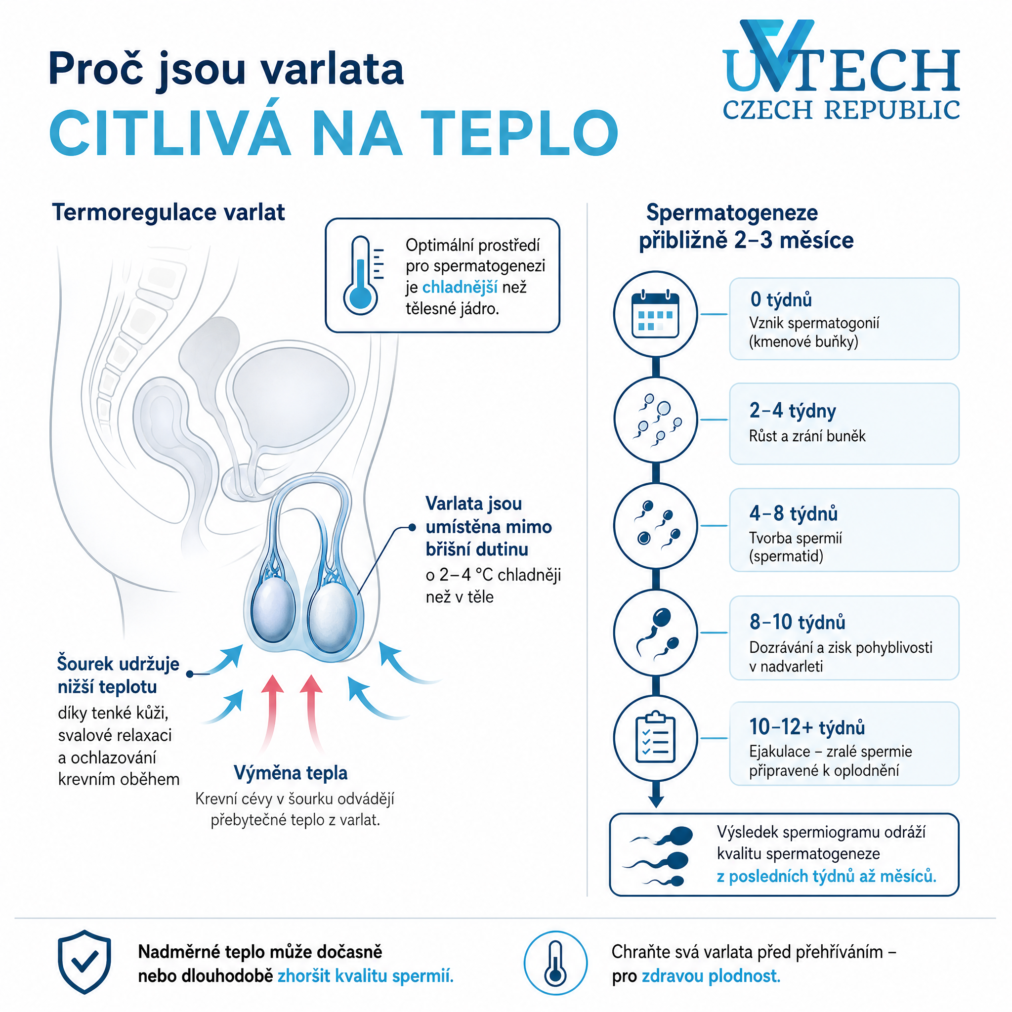 Saunování a mužská plodnost: mýtus nebo oprávněná obava?