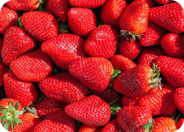 Dentální nit - Jahoda