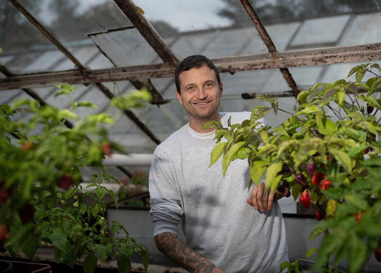 PESTO sušené rajče s lyofilizovaným kampotským pepřem
