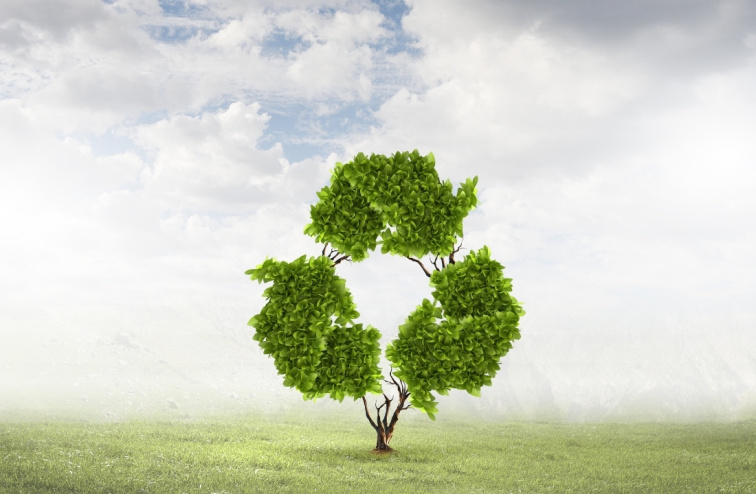 Udržitelnost v péči