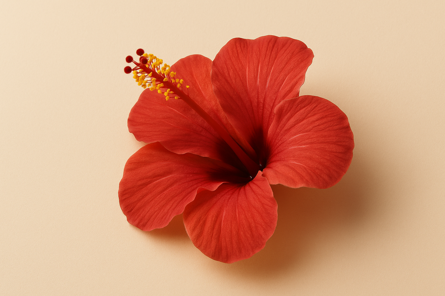 Vyživující tělový masážní olej