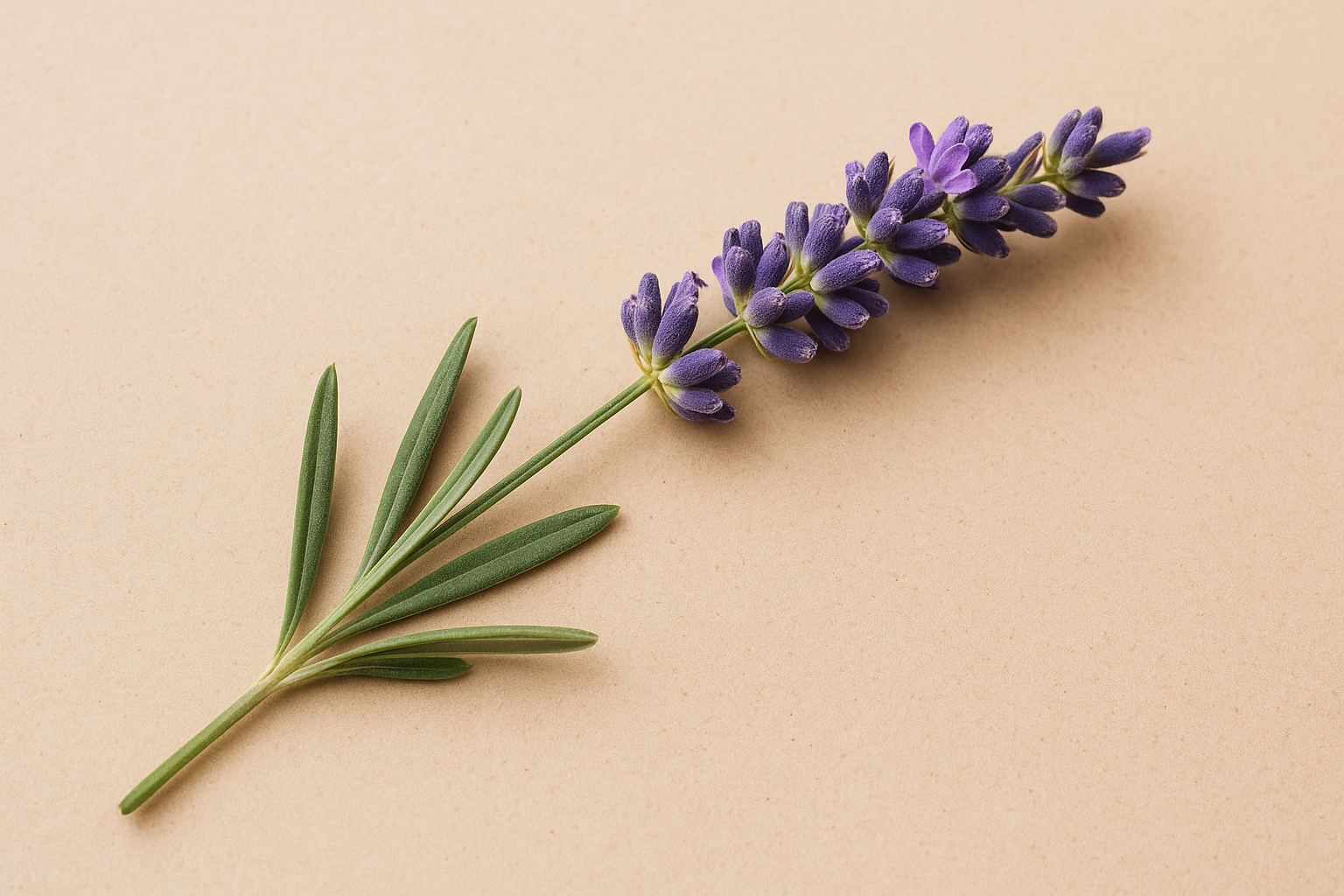 Zklidňující tělový masážní olej