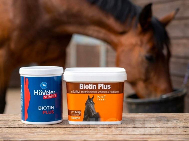 Péče o kopyta v zimě