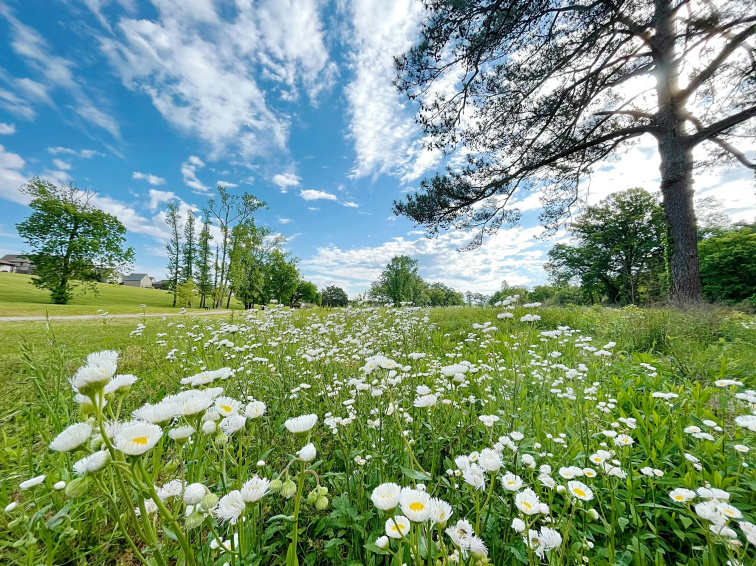 Jaro je za dveřmi - čas na restart!