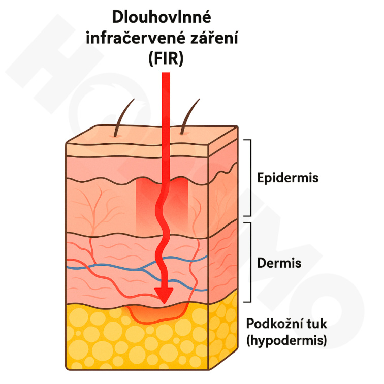 back on track - značka
