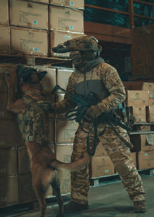 Cryeteryx Atom LT Hoody - Multicam Arid MOD