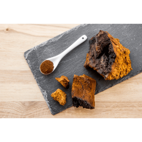 Královská Chaga pro podporu vitality, 60 kapslí