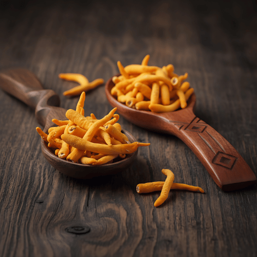 2+1 ZDARMA Královský Cordyceps pro podporu kondice, 3x60 kapslí