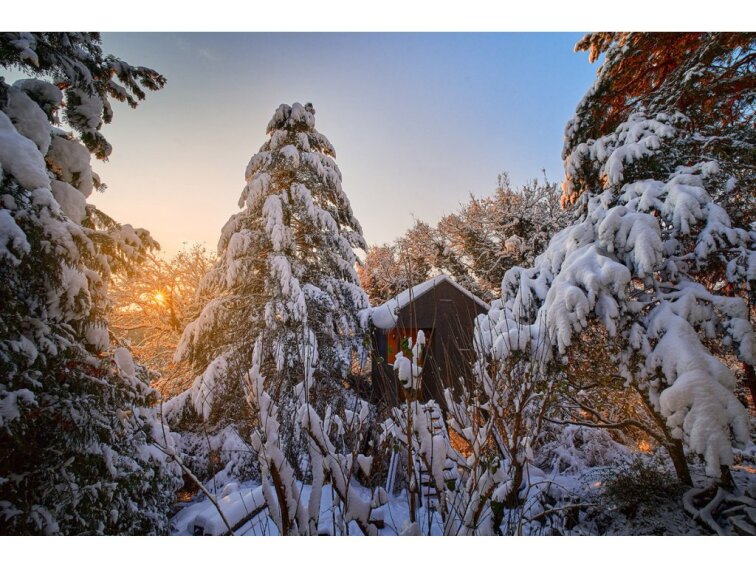 Ticho v korunách – útulný posed