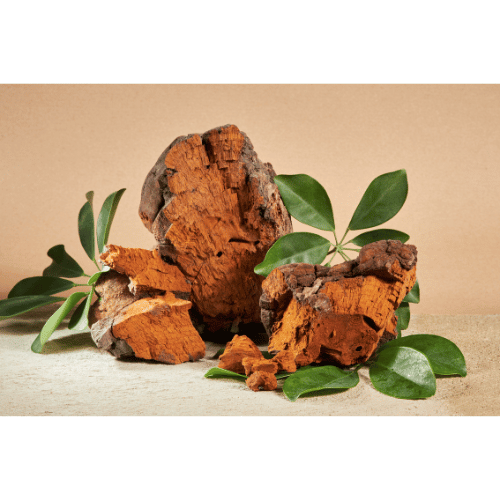 2+1 Kráľovská Chaga pre podporu vitality, 60 kapsúl