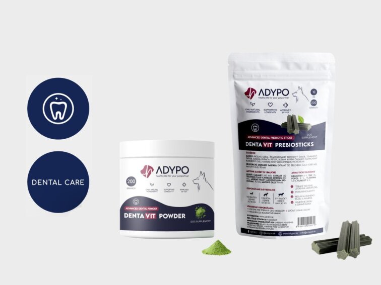 ADYPO KOMBO DENTAVIT Aktívna redukcia zubného plaku a zápachu