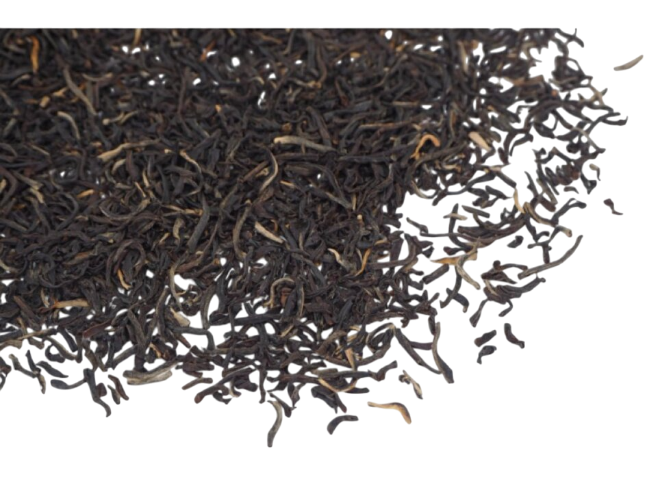 Ceylon Pothotuwa FBOPFEXSP 2025