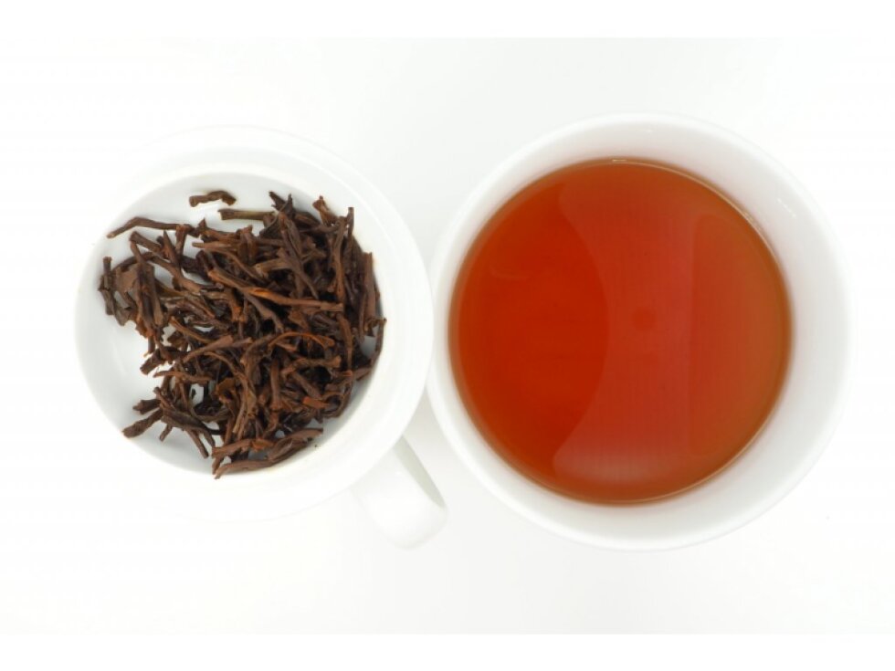 Ceylon Pothotuwa FBOPFEXSP 2025