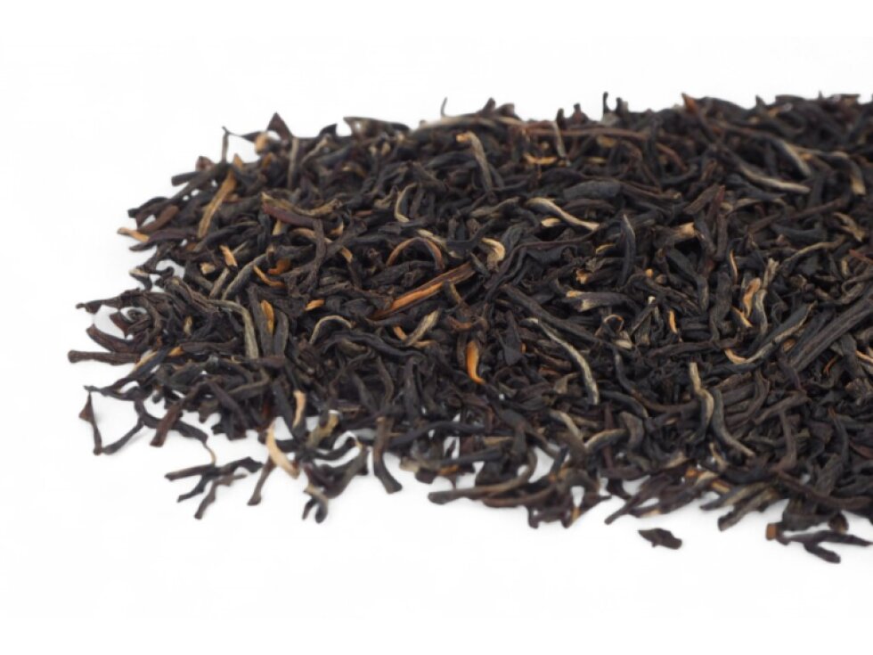 Ceylon Pothotuwa FBOPFEXSP 2025