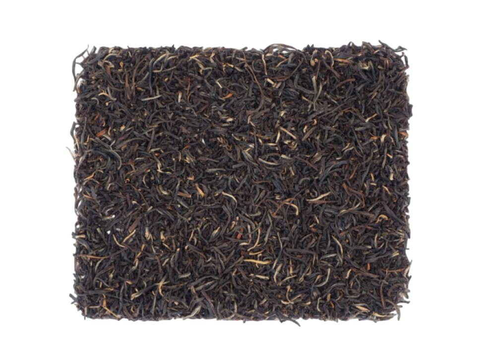 Ceylon Pothotuwa FBOPFEXSP 2025