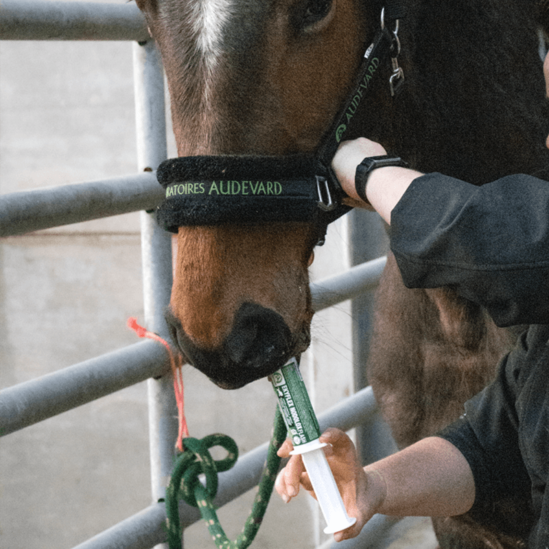 EKYFLEX NODOLOX FLASH