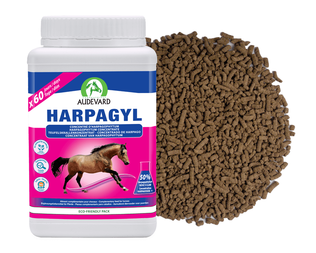 HARPAGYL
