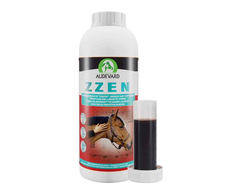 ZZEN