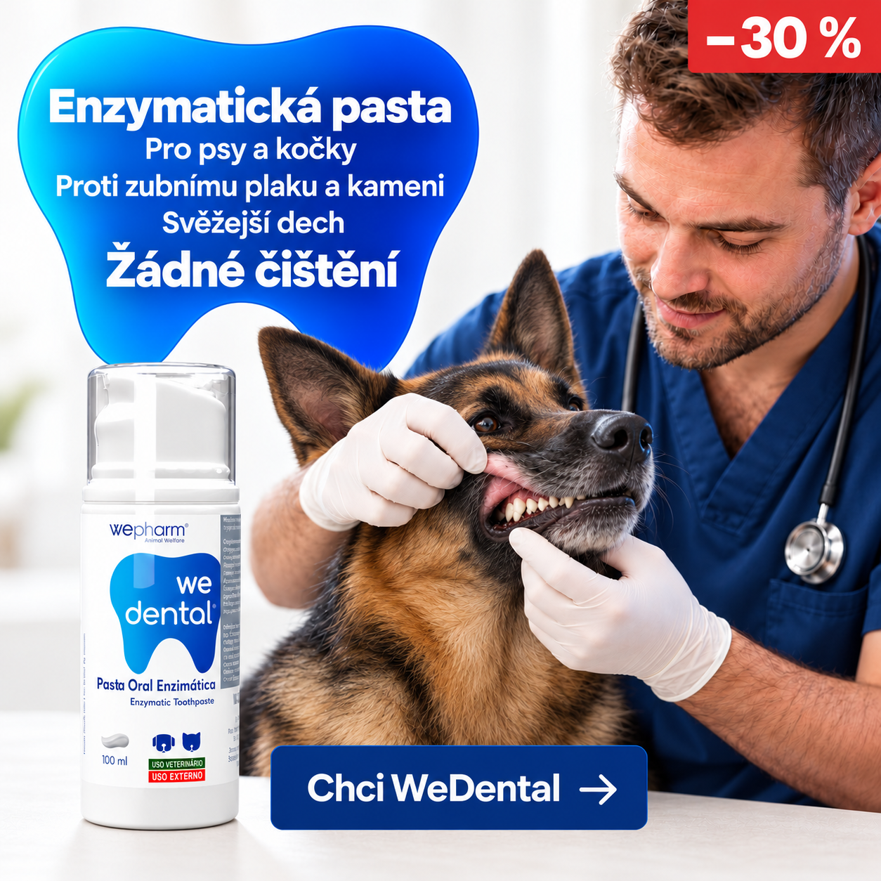 Zuby psů a koček jsou zrcadlem jejich zdraví