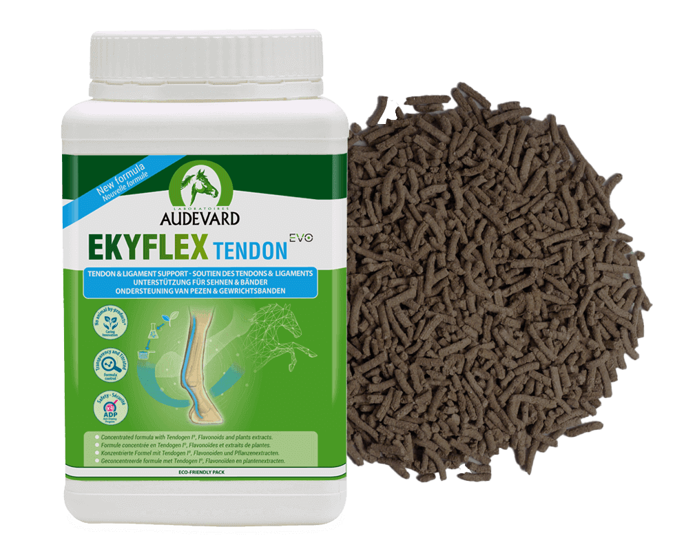 EKYFLEX TENDON