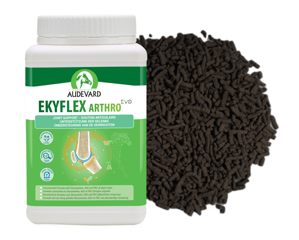 EKYFLEX ARTHRO EVO