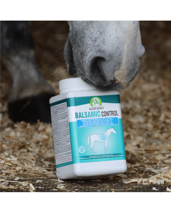 Akční balíček - Balsamic Control + Balsamic Air